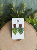 Monstera’s